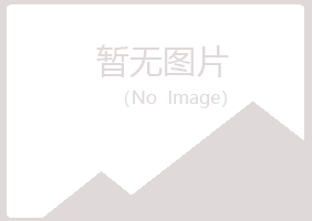 临沂字迹化学有限公司